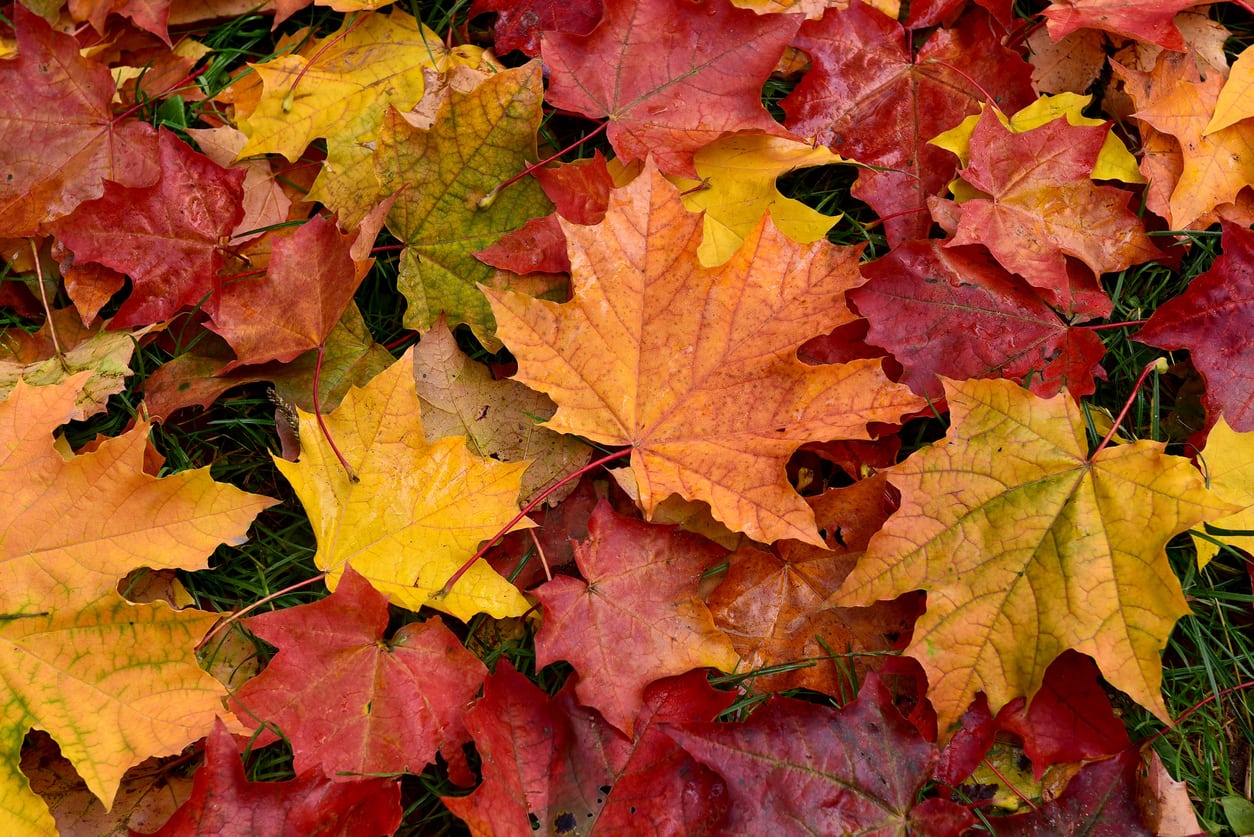 4 Steps to Get Your HVAC System Ready for Fall & Winter
